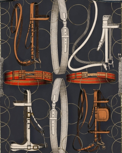 equestrian_equipment_dark_-_52x70cm.jpg