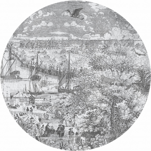 Gulliver-Grey-2_koło.jpg