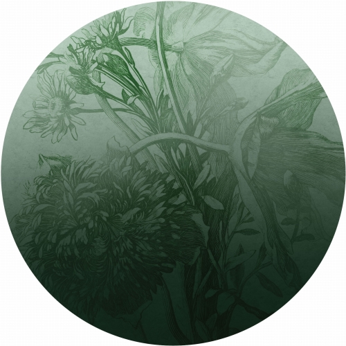 Green-Ombre-Flower_koło.jpg
