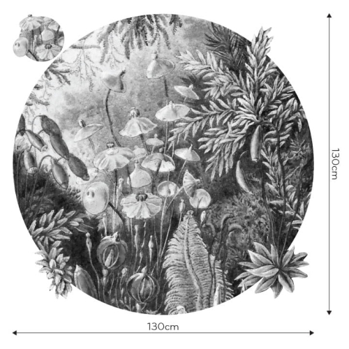 Fairytale-B&amp;W_koło_wymiarowanie.jpg