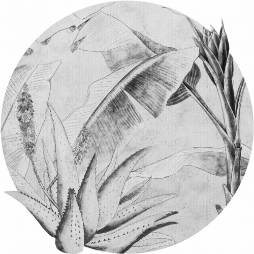 Rainforest-Sketch_koło.jpg
