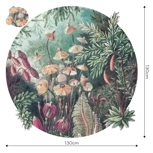 fairytale-kolo-tekstura2.JPG