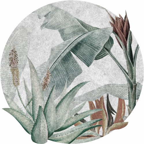 rain-forest-kolko-tekstura.JPG