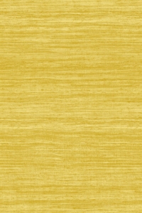 Tapeta dekoracyjna Arte Expedition Tasar A72029