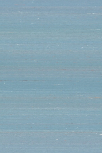 Arte-Kami-Dupion-A87200.jpg