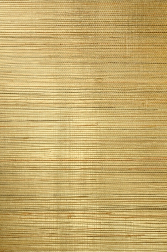 Arte-Oculaire-Line-A80710.jpg