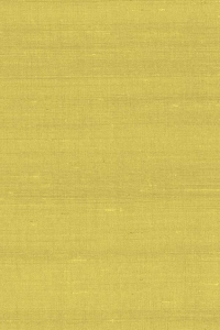 Tapeta Arte Paleo Latus A50507