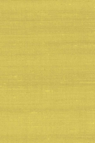 Arte-Paleo-Latus-A50507.jpg