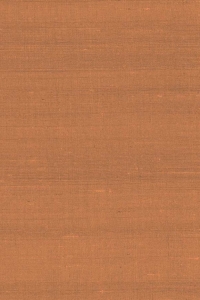 Tapeta Arte Paleo Latus A50514