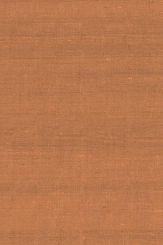 Arte-Paleo-Latus-A50514.jpg
