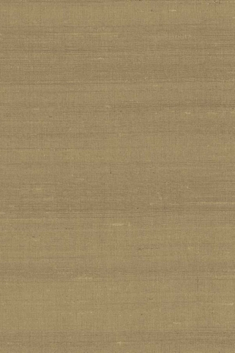 Arte-Paleo-Latus-A50515.jpg