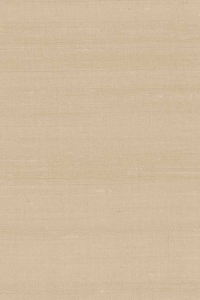 Tapeta Arte Paleo Latus A50518