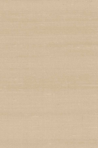 Arte-Paleo-Latus-A50518.jpg