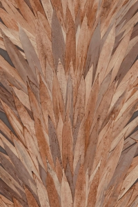 Tapeta Arte Selva Abanico A34003