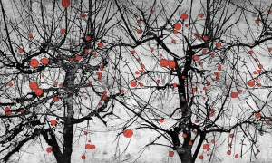 Tapeta  Wonderwall Vibrant 35 0553 05