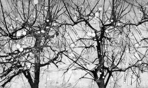 Tapeta Wonderwall Vibrant 35 0553 01