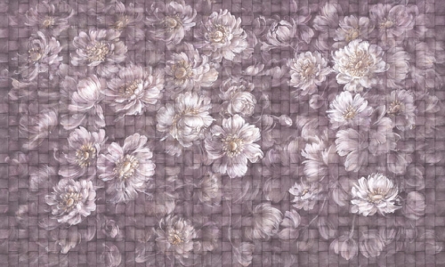 Grafika-Wonderwall-Eve-35073607.jpg