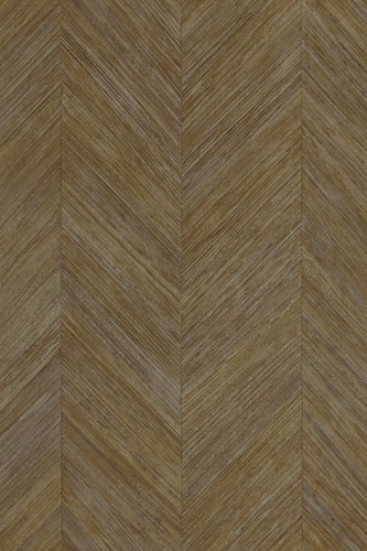 Arte-Selva-Corteza-A34202.jpg