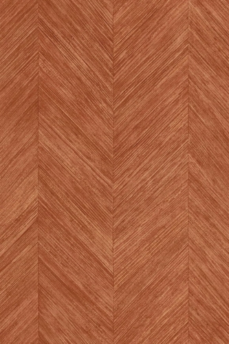 Arte-Selva-Corteza-A34204.jpg