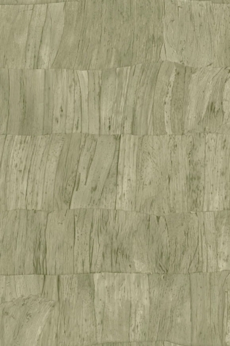 Arte-Selva-Capas-A34304.jpg