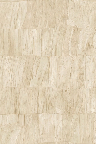 Arte-Selva-Capas-A34306.jpg