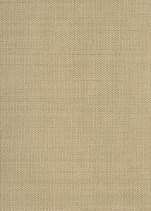 Tapeta dekoracyjna Khroma Kent Dixie Pampas GAT604
