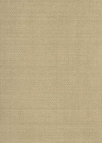 Tapeta dekoracyjna Khroma Kent Dixie Pampas GAT604