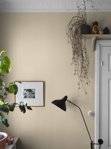 SorbetYellow_Image_Roomshot_Hallway_Item_7555.jpg