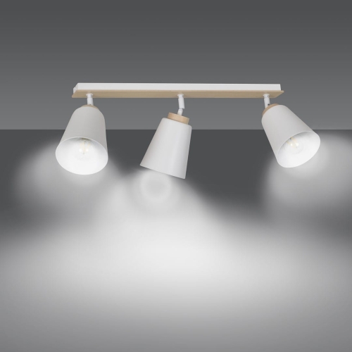 299077c350c65423b83e045d42aee260