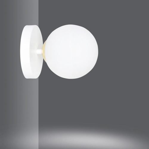 db03816a09e4c898b56170379320da68