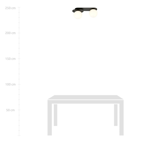 d261dc6e5c50dab80cf563419473053d