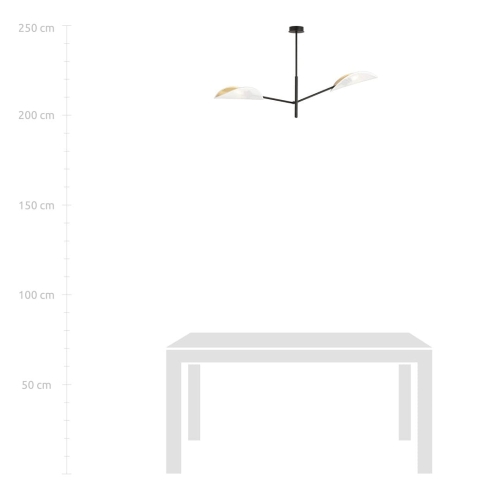 5f02d5df2f37926c9ee121a9740e95e2