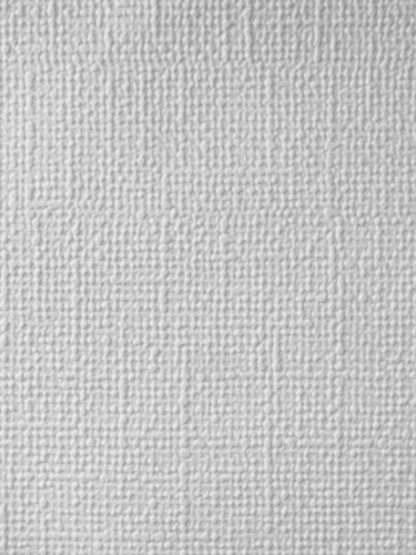 Canvas.jpg