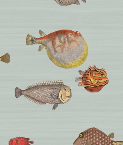 Cole&amp;Son Fornasetti Senza Tempo Acquario 97/10030