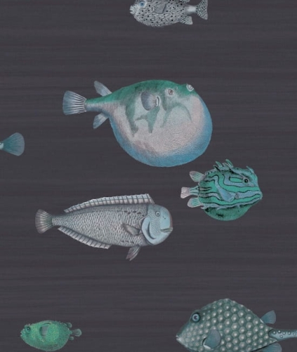 Cole&amp;Son Fornasetti Senza Tempo Acquario 114/16032