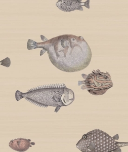 Tapeta dekoracyjna Cole&Son Fornasetti Senza Tempo Acquario 114/16033