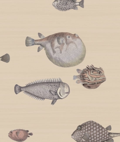 Cole&amp;Son Fornasetti Senza Tempo Acquario 114/16033