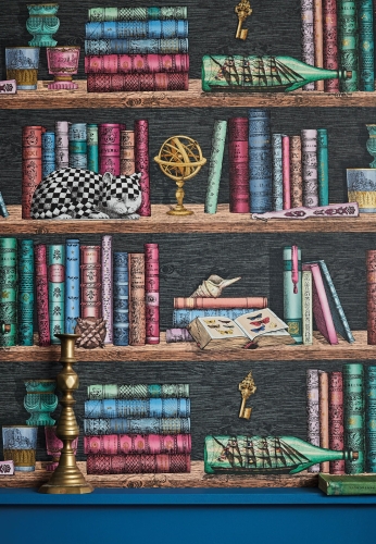 Cole&amp;Son Fornasetti Senza Tempo Libreria 114/13025