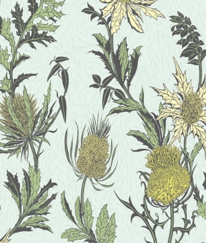 Cole&amp;Son Botanical Botanica Thistle 115/14042