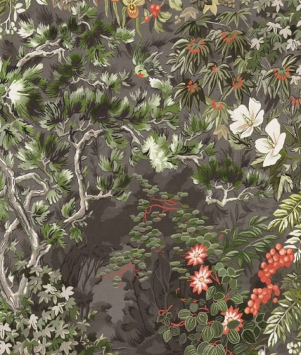 Cole&amp;Son Botanical Botanica Woodland 115/4011