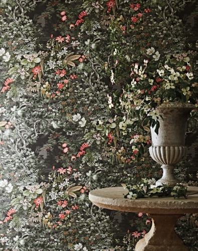 Cole&amp;Son Botanical Botanica Woodland 115/4011