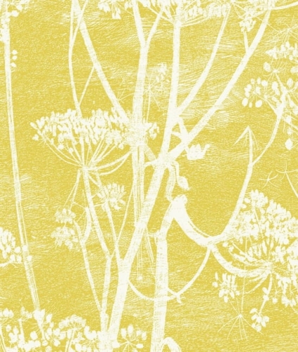 Cole&amp;Son Contemporary Collection Cow Parsley 66/7051