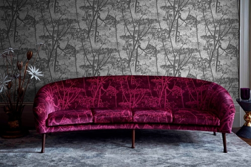 Cole&amp;Son Contemporary Collection Cow Parsley