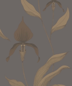 Tapeta dekoracyjna Cole&Son Contemporary Collection Orchid 95/10056