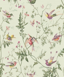 Tapeta dekoracyjna Cole&Son Archive Anthology Hummingbirds 100/14070
