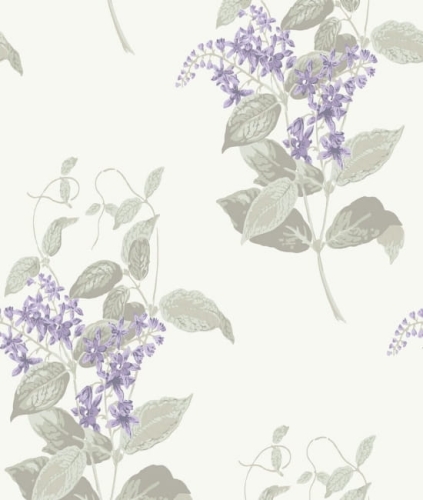 Cole&amp;Son Archive Anthology Madras Violet 100/12057