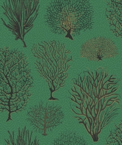 Tapeta dekoracyjna Cole&Son Archive Anthology Curio Seafern 107/2007