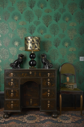 Cole&amp;Son Curio Seafern 107/2007