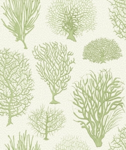 Tapeta dekoracyjna Cole&Son Archive Anthology Curio Seafern 107/2008