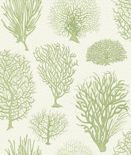 Cole&amp;Son Curio Seafern 107/2008